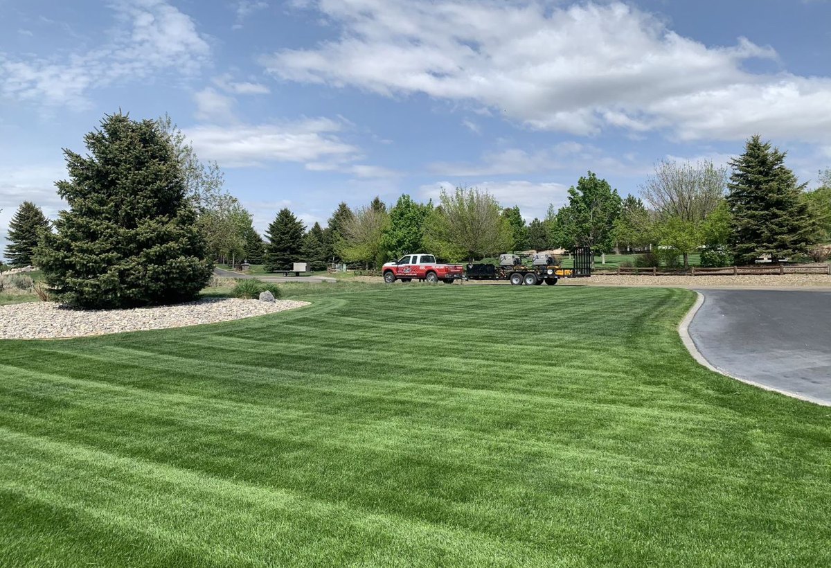 Healthy evenly watered green lawn