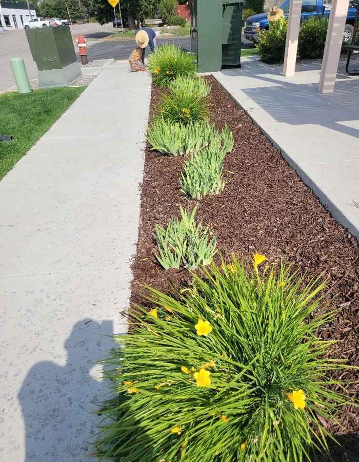 Detailed planting and walkway by B&K
