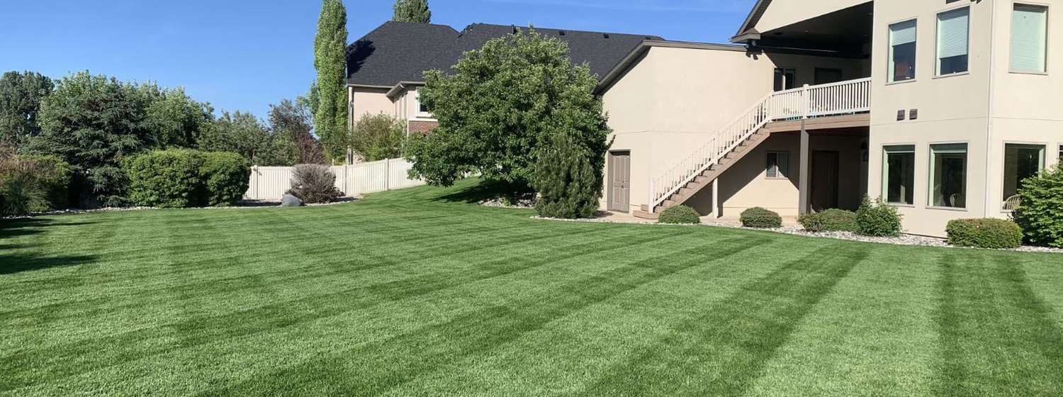Lush green lawn maintained by B&K